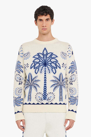 WILD WONDER FOULARD SWEATER