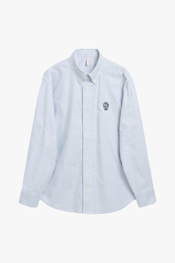 Button Down Oxford