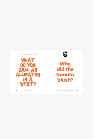 The Little Book Of Dad Jokes