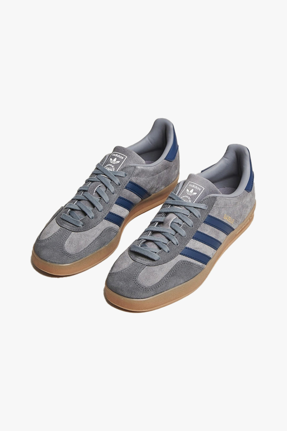 Gazelle Indoor